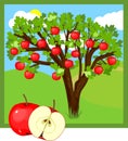Cartoon apple tree with red fruits and green leaves Royalty Free Stock Photo